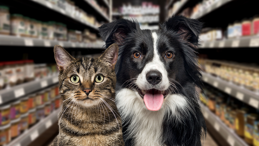 Packager of pet supplies for a warehouse in Wrocław (Poland)